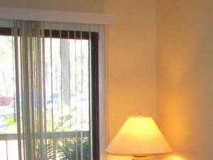 Wildwood Apartments Thomasville GA Living Room